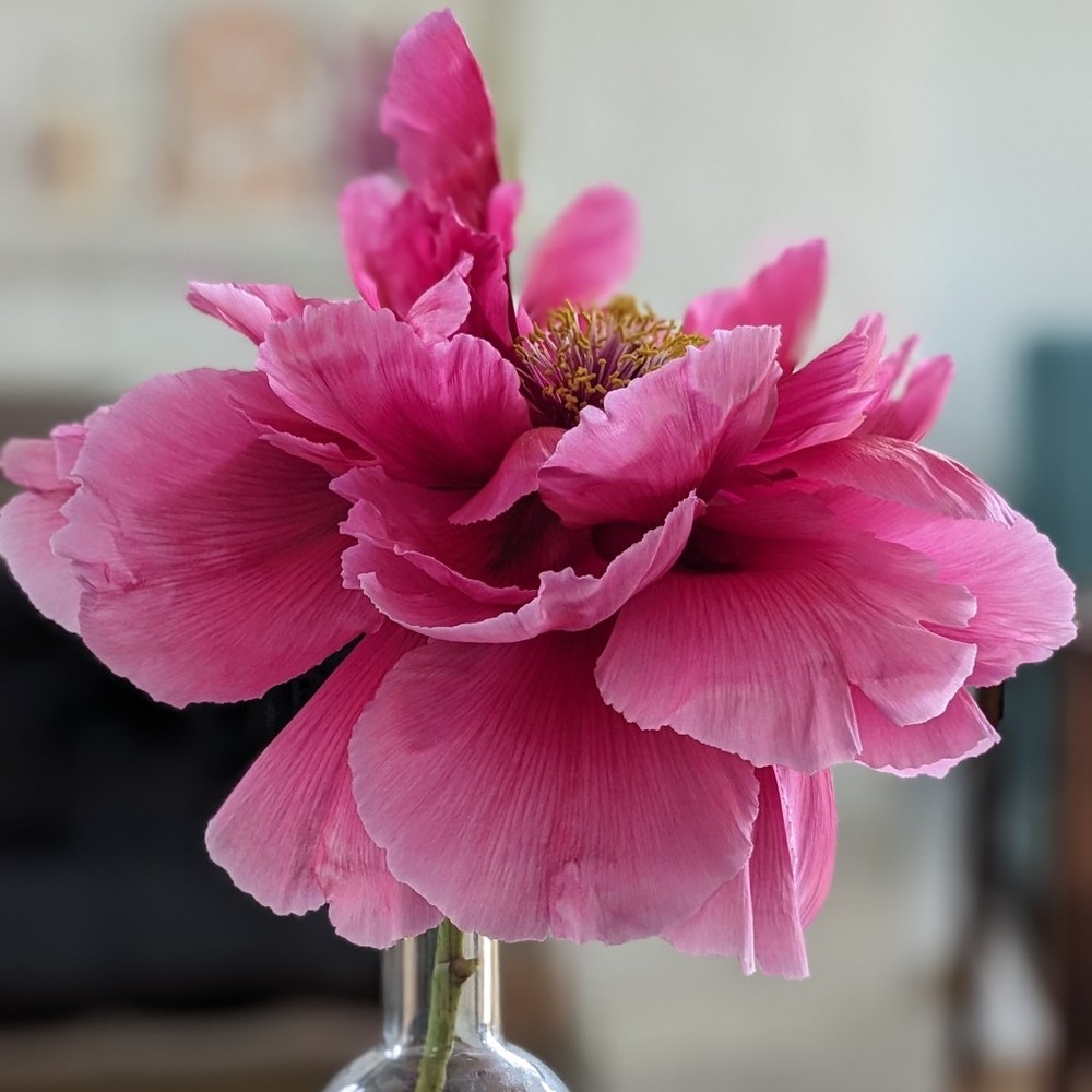 Meet your Posher, Christie